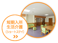 短期入所生活介護
