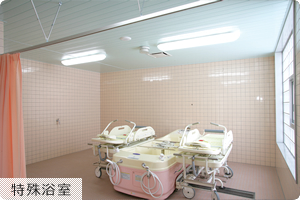 特殊浴室